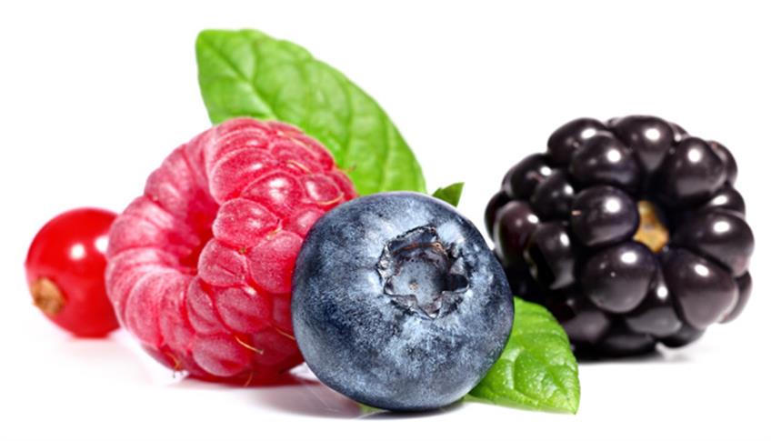 Un bouquet di frutti di bosco: colorato, gustoso, frizzante! Un bouquet di frutti di bosco: colorato, gustoso, frizzante!